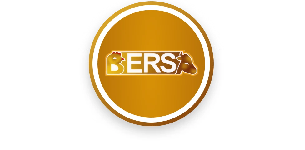 Footer Logo